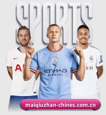 买球站的故事 | maiqiuzhan